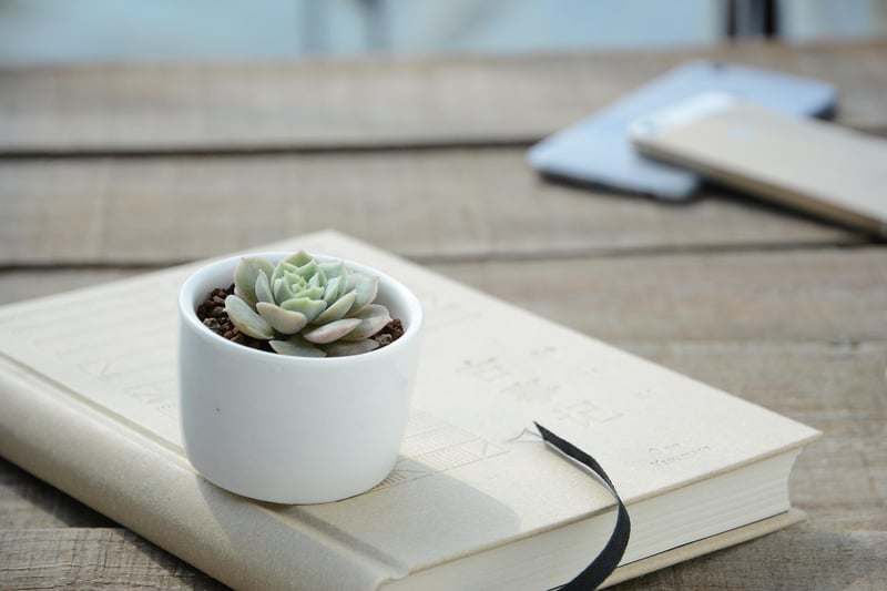 Self-Watering Planter